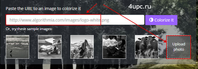 Как сделать черно-белое фото цветным