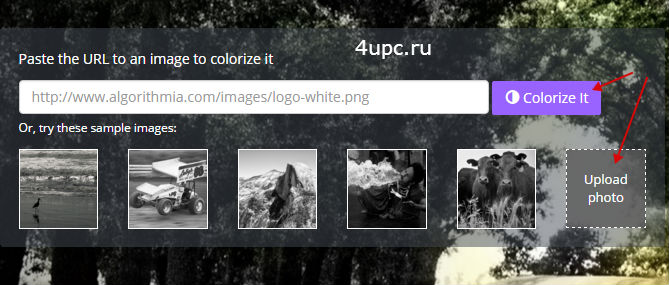 Как сделать черно-белое фото цветным